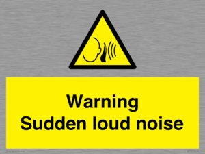 Warning Sudden loud noise