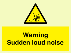 Warning Sudden loud noise