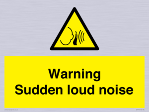 Warning Sudden loud noise