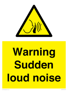Warning Sudden loud noise