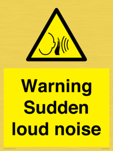 Warning Sudden loud noise