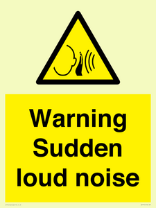 Warning Sudden loud noise