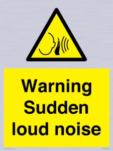 Warning Sudden loud noise