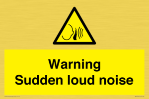 Warning Sudden loud noise