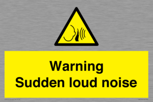 Warning Sudden loud noise