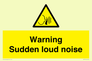 Warning Sudden loud noise