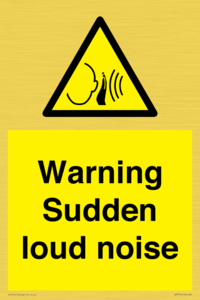 Warning Sudden loud noise