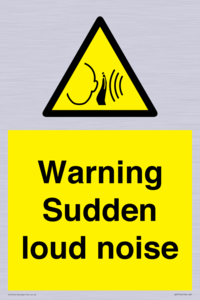 Warning Sudden loud noise