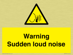 Warning Sudden loud noise