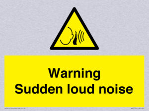 Warning Sudden loud noise