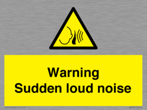 Warning Sudden loud noise