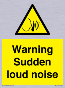 Warning Sudden loud noise
