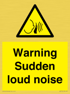 Warning Sudden loud noise