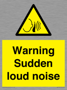 Warning Sudden loud noise