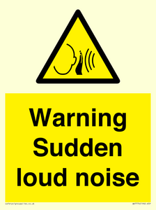 Warning Sudden loud noise