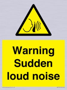 Warning Sudden loud noise