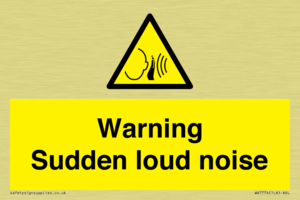 Warning Sudden loud noise