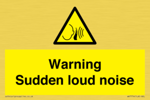 Warning Sudden loud noise