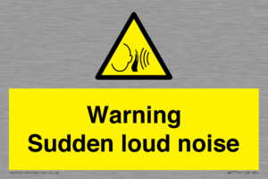 Warning Sudden loud noise