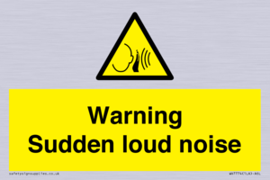 Warning Sudden loud noise