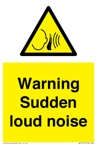 Warning Sudden loud noise