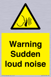 Warning Sudden loud noise
