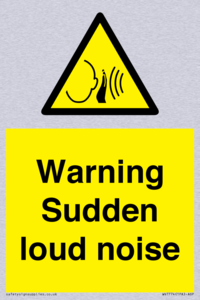 Warning Sudden loud noise