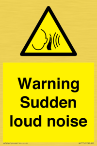 Warning Sudden loud noise