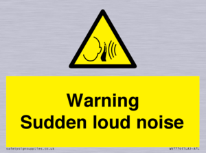 Warning Sudden loud noise
