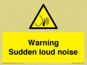 Warning Sudden loud noise