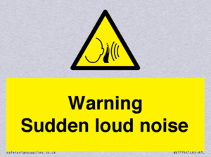 Warning Sudden loud noise