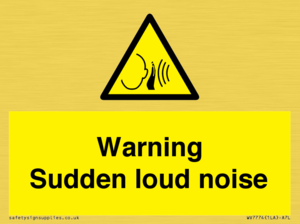 Warning Sudden loud noise