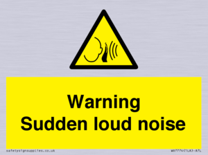 Warning Sudden loud noise