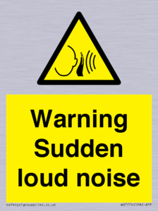 Warning Sudden loud noise