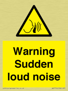 Warning Sudden loud noise