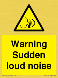 Warning Sudden loud noise