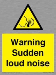 Warning Sudden loud noise