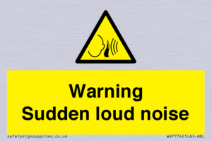 Warning Sudden loud noise