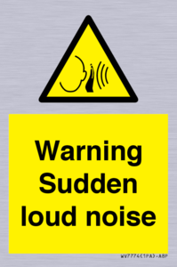 Warning Sudden loud noise
