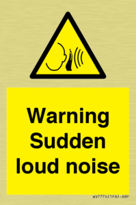 Warning Sudden loud noise
