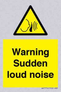 Warning Sudden loud noise