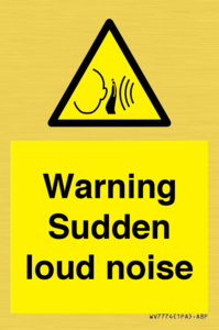 Warning Sudden loud noise
