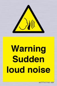 Warning Sudden loud noise