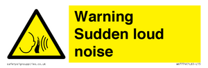 Warning Sudden loud noise