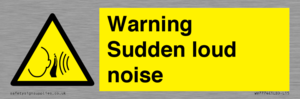 Warning Sudden loud noise