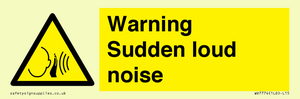 Warning Sudden loud noise