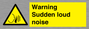 Warning Sudden loud noise