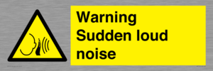 Warning Sudden loud noise
