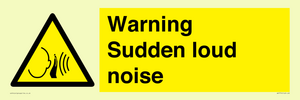 Warning Sudden loud noise