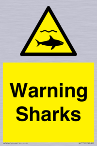 Warning sharks